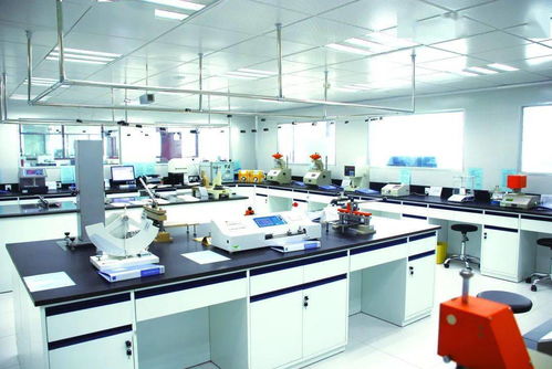 發(fā)揮中輕集團(tuán)檢驗(yàn)檢測(cè)綜合服務(wù)優(yōu)勢(shì)，以科技中介服務(wù)賦能行業(yè)高質(zhì)量發(fā)展