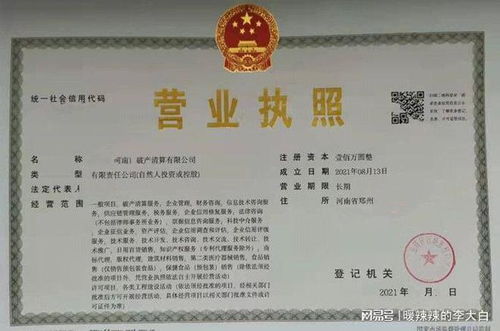 立足中原，布局未來 如何高效注冊(cè)河南破產(chǎn)清算、鄭州不良資產(chǎn)處置與科技中介服務(wù)公司